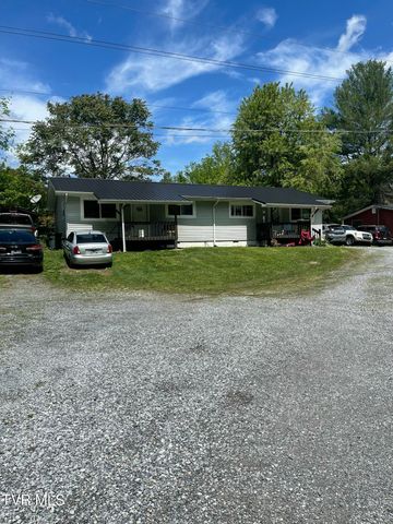 517 Nunley Drive, Johnson City, TN 37604
