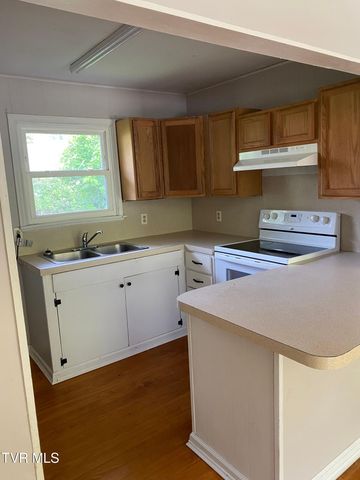 517 Nunley Drive, Johnson City, TN 37604