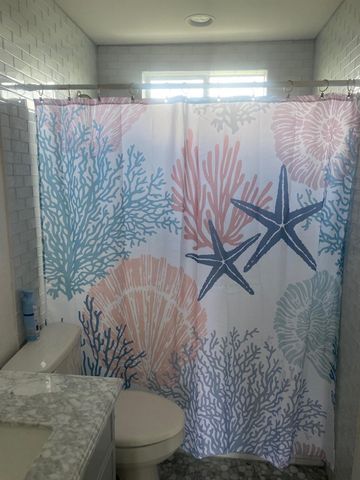 24047 Termini San Luis Pass Road, Galveston, TX 77554