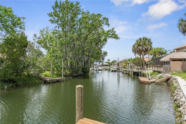 9205 W Harbor Isle Court, Crystal River, FL 34429