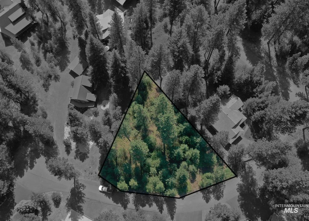 TBD Brundage Ct, New Meadows, ID 83654 photo 5