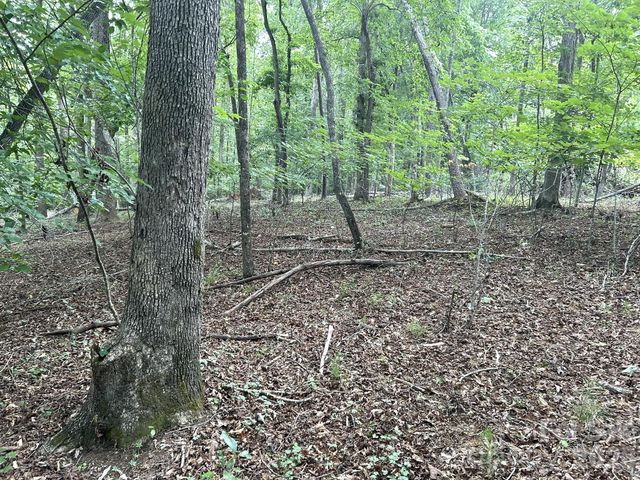 00 Bitteroot Circle 302, Rutherfordton, NC 28139