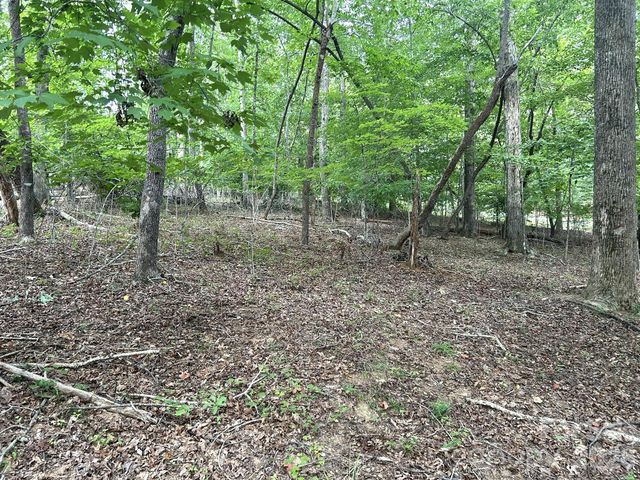 00 Bitteroot Circle 302, Rutherfordton, NC 28139