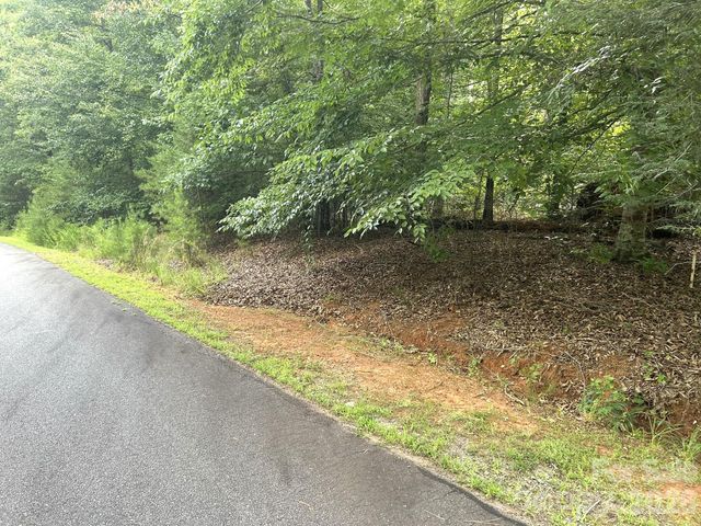 00 Bitteroot Circle 302, Rutherfordton, NC 28139