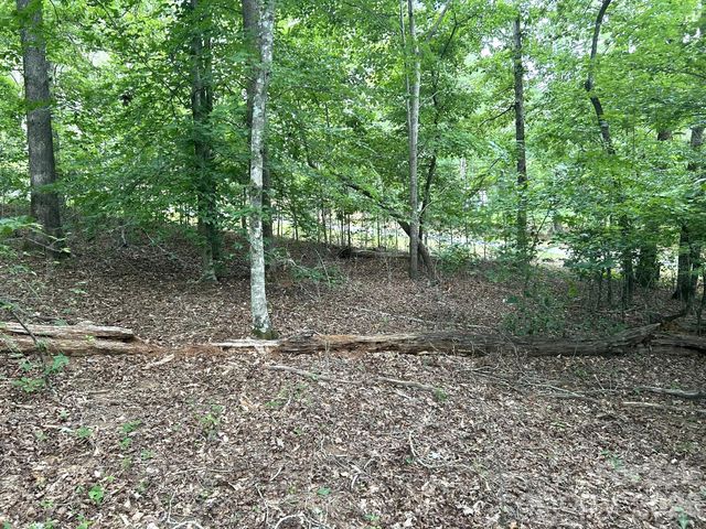 00 Bitteroot Circle 302, Rutherfordton, NC 28139