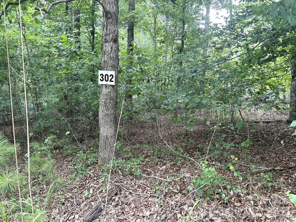 00 Bitteroot Circle 302, Rutherfordton, NC 28139