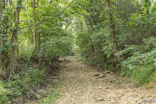 2540 Pfinister School Road, De Soto, MO 63020