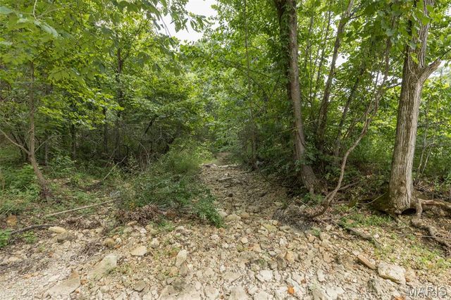 2540 Pfinister School Road, De Soto, MO 63020