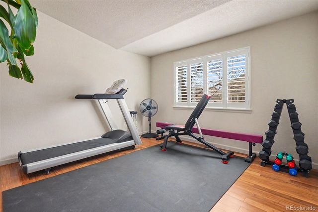 12783 Buckhorn Creek Street, Parker, CO 80134