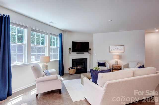 13033 Cinnamon Fern Lane, Charlotte, NC 28227