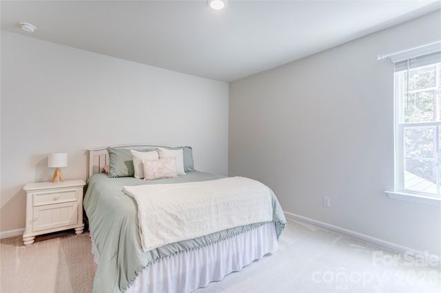 13033 Cinnamon Fern Lane, Charlotte, NC 28227