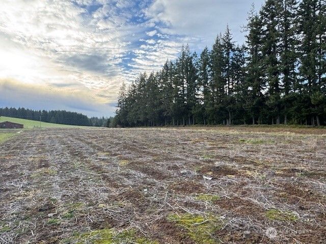 0 LOT 1 Frogner Road, Adna, WA 98532