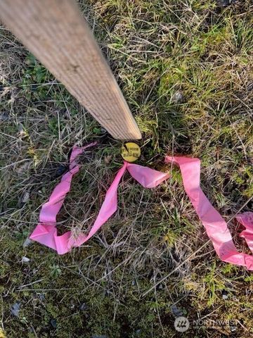 0 LOT 1 Frogner Road, Adna, WA 98532