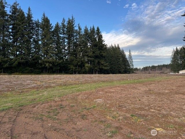 0 LOT 1 Frogner Road, Adna, WA 98532