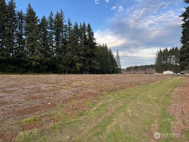 0 LOT 1 Frogner Road, Adna, WA 98532