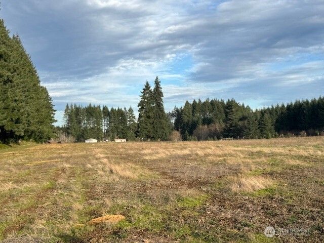 0 LOT 1 Frogner Road, Adna, WA 98532