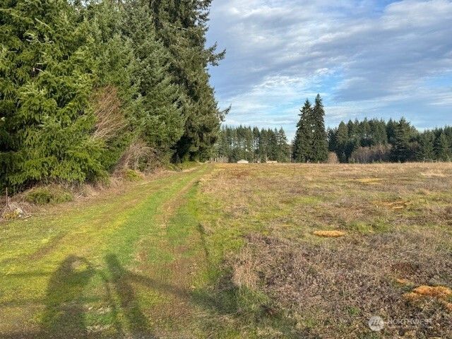 0 LOT 1 Frogner Road, Adna, WA 98532