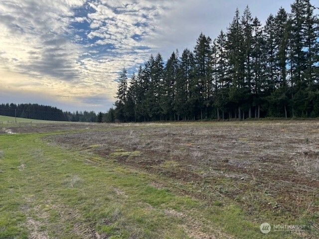 0 LOT 1 Frogner Road, Adna, WA 98532