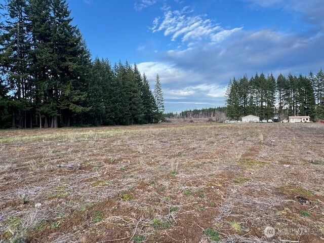 0 LOT 1 Frogner Road, Adna, WA 98532
