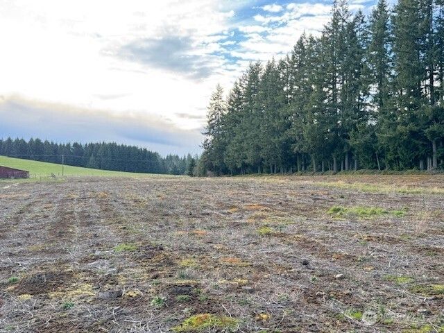 0 LOT 1 Frogner Road, Adna, WA 98532