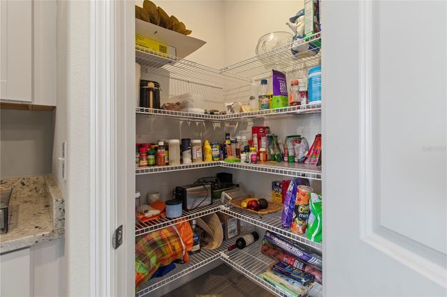 10170 DAYBREAK GLEN, Parrish, FL 34219