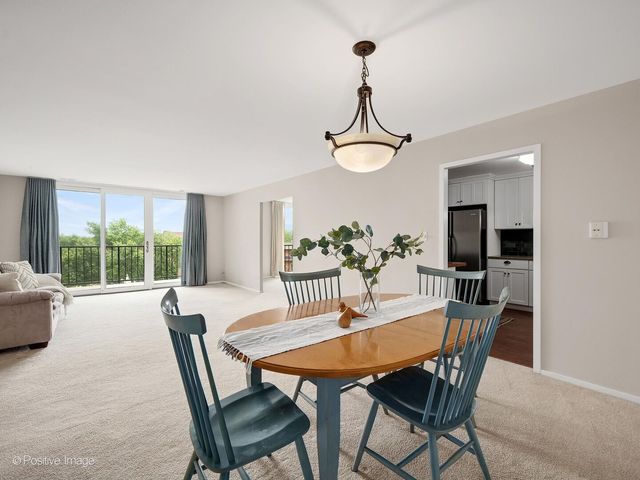 111 Acacia Drive 607, Indian Head Park, IL 60525