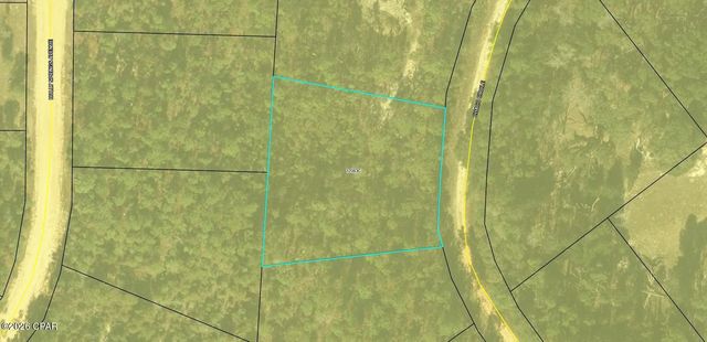 3140 Chaco Circle, Alford, FL 32420