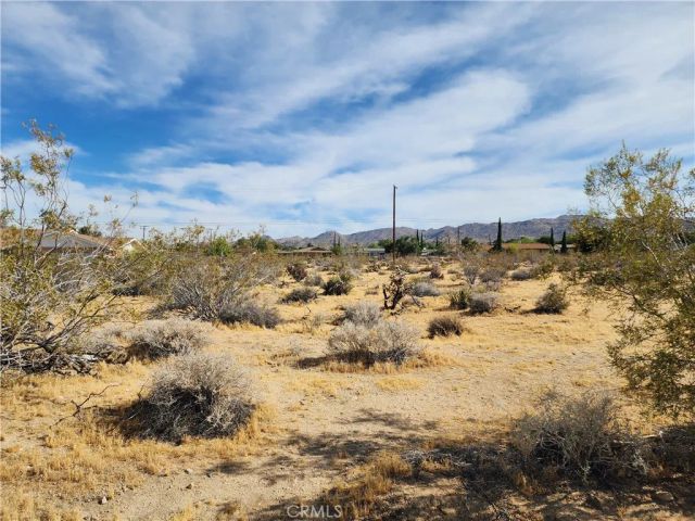 61665 Division, Joshua Tree, CA 92252