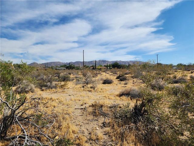 61665 Division, Joshua Tree, CA 92252