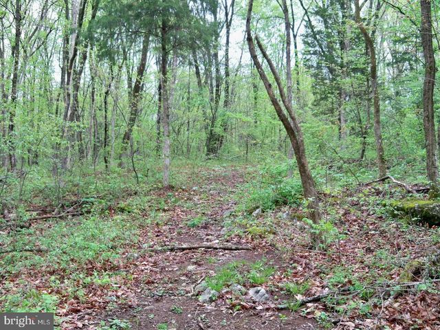 LOT 33 NESTLE QUARRY RD, Falling Waters, WV 25419