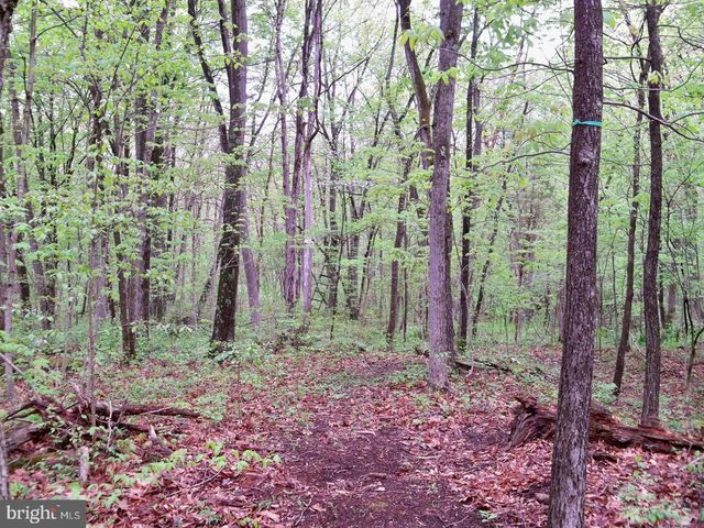 LOT 33 NESTLE QUARRY RD, Falling Waters, WV 25419