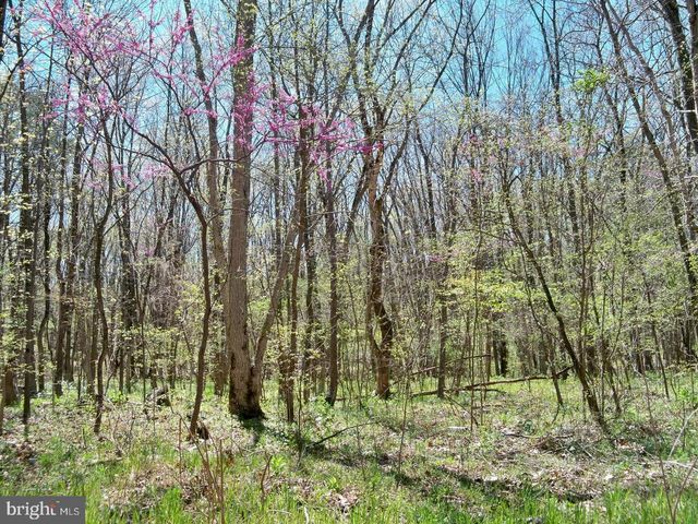 LOT 33 NESTLE QUARRY RD, Falling Waters, WV 25419