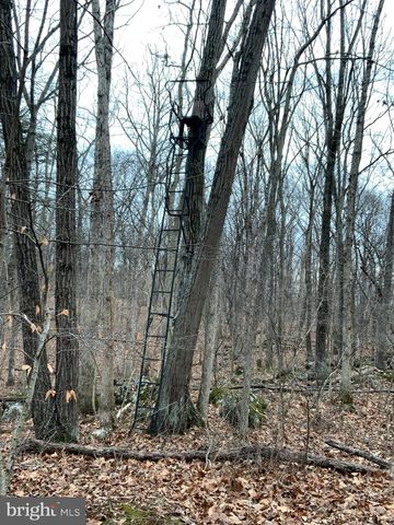 LOT 33 NESTLE QUARRY RD, Falling Waters, WV 25419