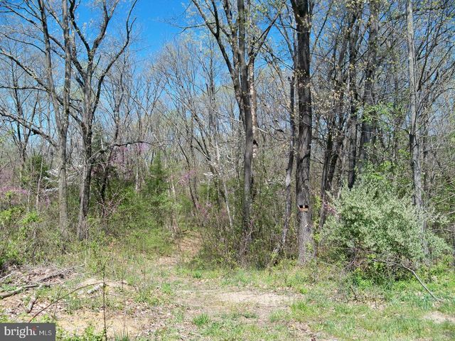 LOT 33 NESTLE QUARRY RD, Falling Waters, WV 25419