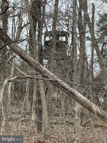 LOT 33 NESTLE QUARRY RD, Falling Waters, WV 25419