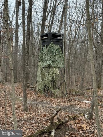 LOT 33 NESTLE QUARRY RD, Falling Waters, WV 25419