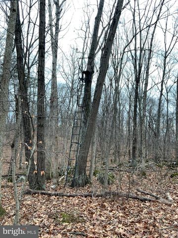 LOT 33 NESTLE QUARRY RD, Falling Waters, WV 25419