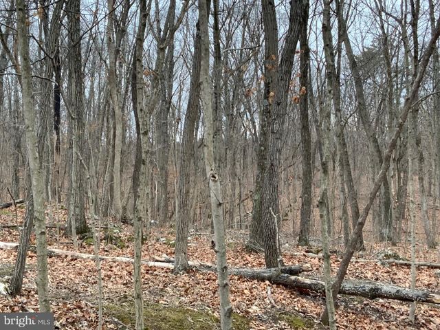 LOT 33 NESTLE QUARRY RD, Falling Waters, WV 25419