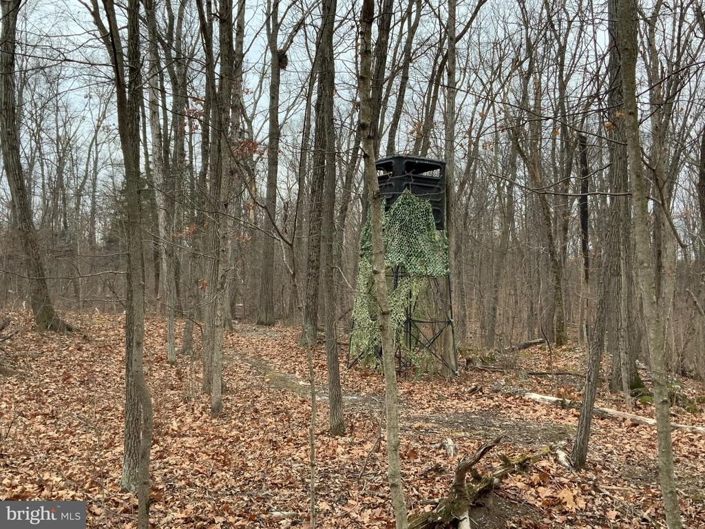 LOT 33 NESTLE QUARRY RD, Falling Waters, WV 25419