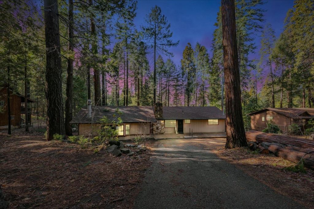 2900 Shady Ln, Pollock Pines, CA 95726