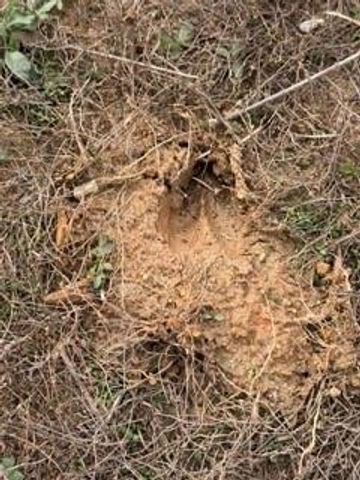 0 Rutledge Road, Acworth, GA 30101