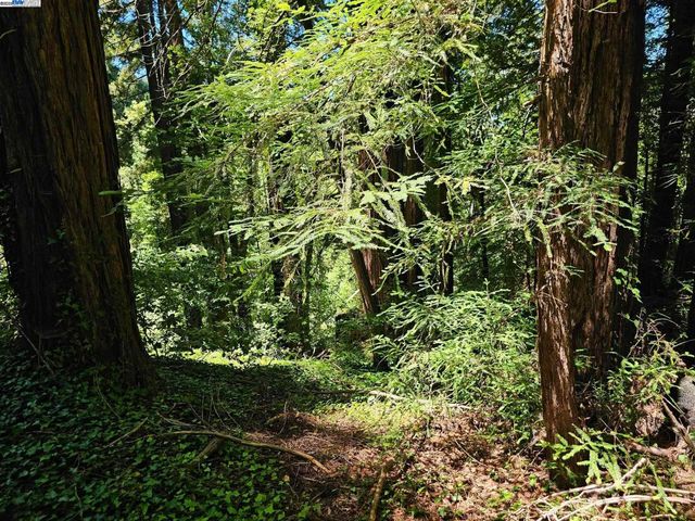 LOT27 Old La Honda Rd, Woodside, CA 94062