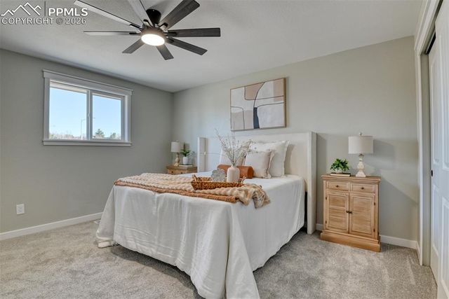 6710 Snowbird Drive, Colorado Springs, CO 80918