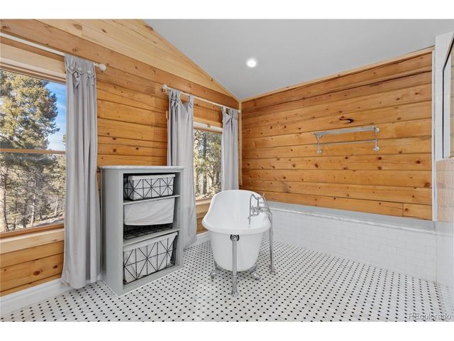 1910 Wildhorn Rd, Florissant, CO 80816