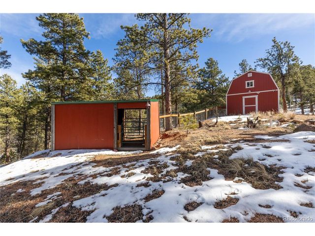 1910 Wildhorn Rd, Florissant, CO 80816