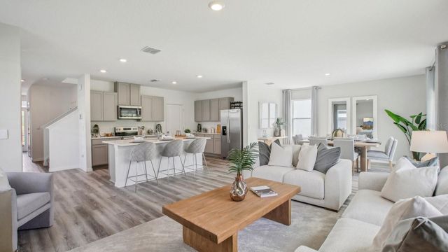 32901 OSPREY PEAK WAY, San Antonio, FL 33576