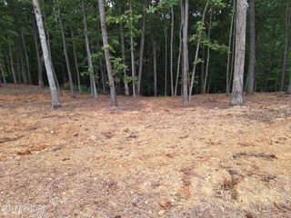 121 Cherry Tree Lane, Loudon, TN 37774