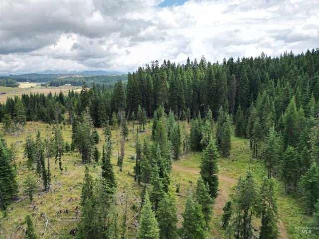 22848 Hwy 11, Weippe, ID 83553