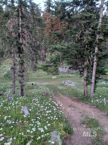 22848 Hwy 11, Weippe, ID 83553