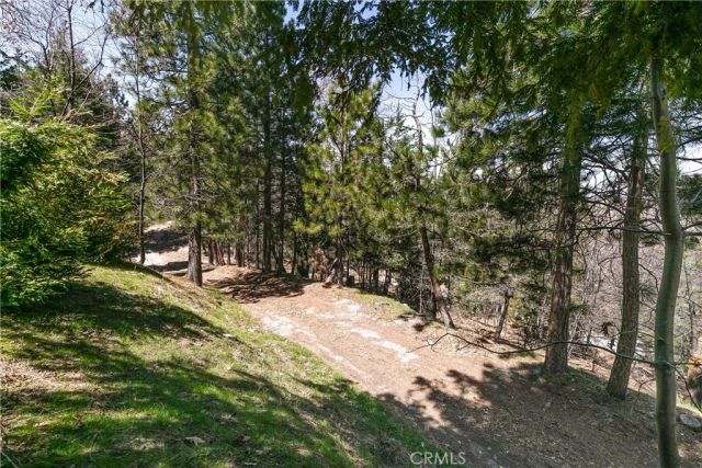 1251 Kodiak Drive, Lake Arrowhead, CA 92352